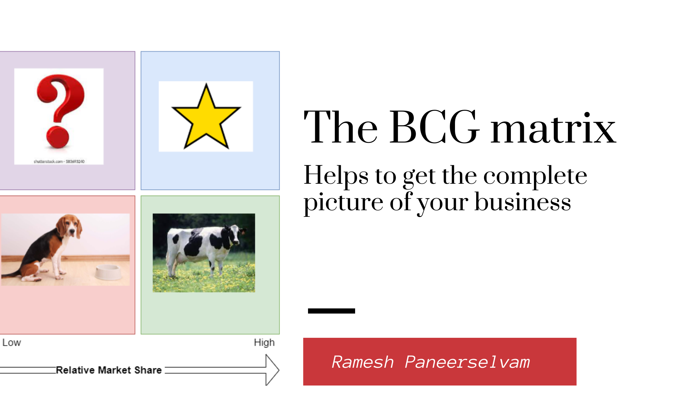 The BCG matrix with visual aids and easy-to-understand with metaphors