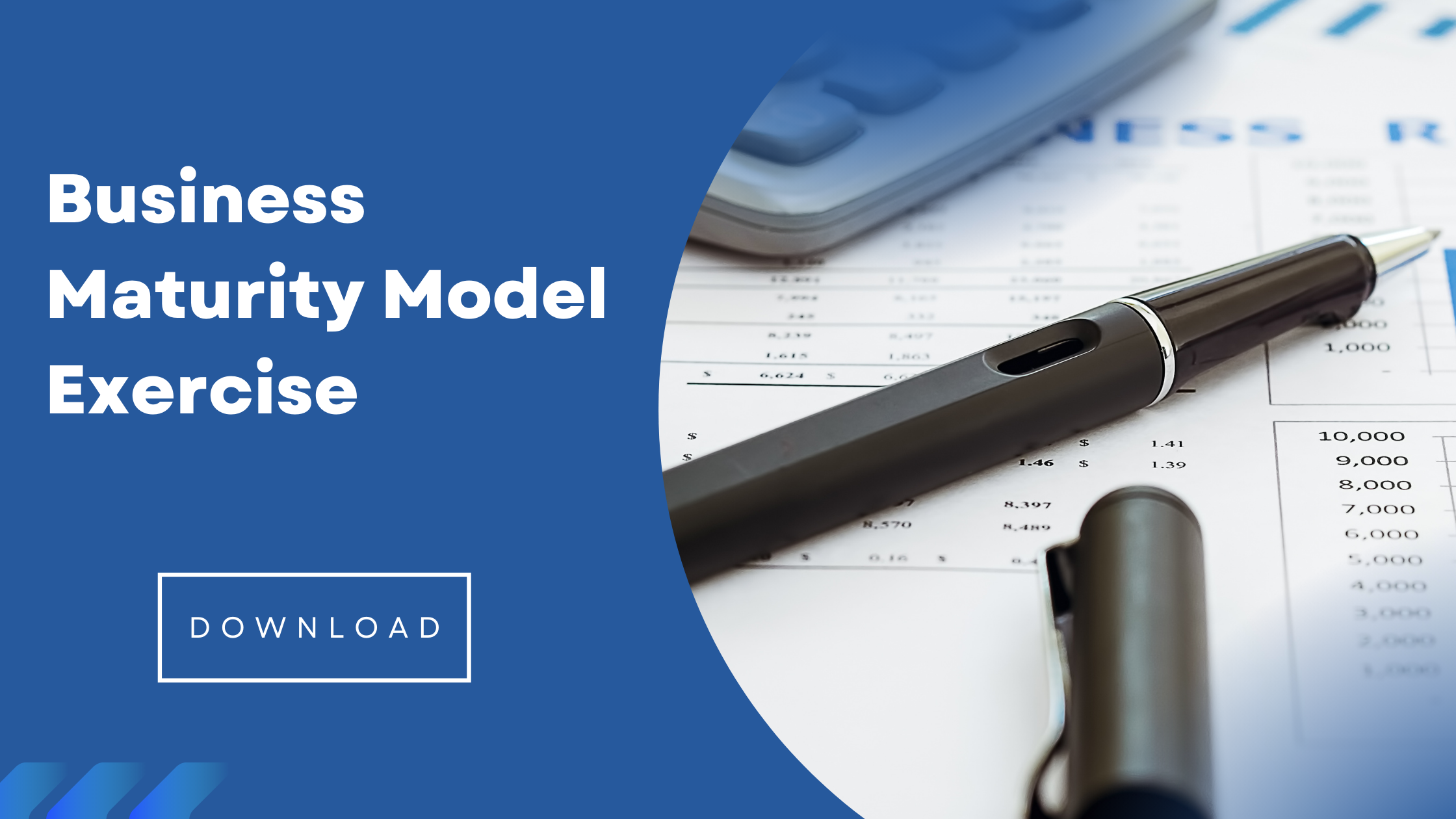 Business maturity model exercise